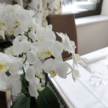 Tagungsraum im Hotel Vier Jahreszeiten Südtirol modern eingerichtet für Veranstaltungen und Feiern