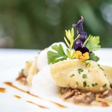 im verschneiten Winterwald in Südtirol