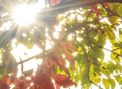 Herbst Special 10%