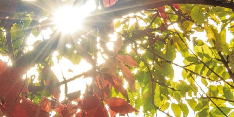 Herbst Special 10%