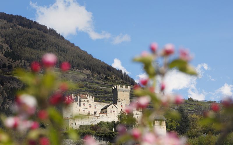Blick auf die Churburg im Vinschgau Südtirol umgeben von grüner Landschaft bei sonnigem Wetter